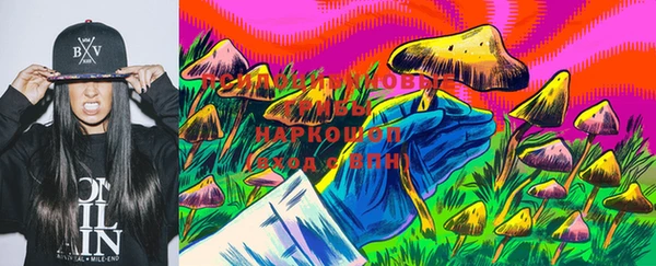 экстази Горняк