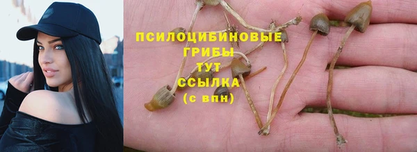кристаллы Ступино