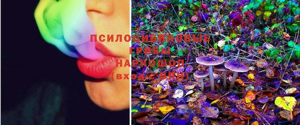 ешки Горно-Алтайск