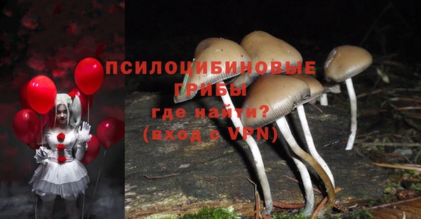 экстази Горняк