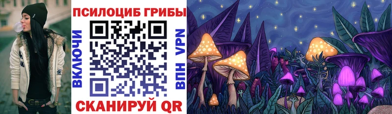 Псилоцибиновые грибы мицелий  omg ССЫЛКА  Омск  где купить наркотик 