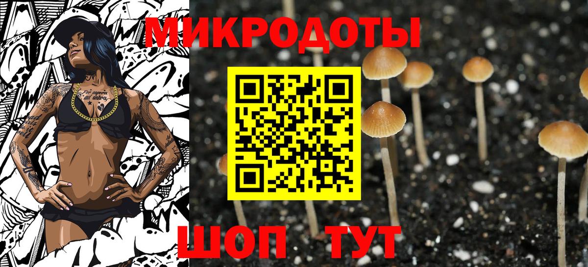 Галлюциногенные грибы мухоморы  Вход с VPN  цена наркотик  Омск 
