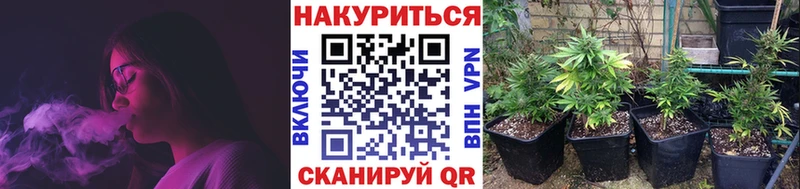 Каннабис VHQ  хочу   мориарти клад  Омск 